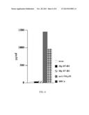 THERAPEUTIC AND DIAGNOSTIC METHODS AND COMPOSITIONS TARGETING 4IG-B7-H3     AND ITS COUNTERPART NK CELL RECEPTOR diagram and image