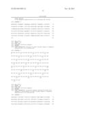 HUMANIZED ANTI-IL-20 ANTIBODY AND USES THEREOF diagram and image