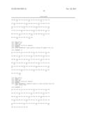 HUMANIZED ANTI-IL-20 ANTIBODY AND USES THEREOF diagram and image