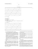 HUMANIZED ANTI-IL-20 ANTIBODY AND USES THEREOF diagram and image