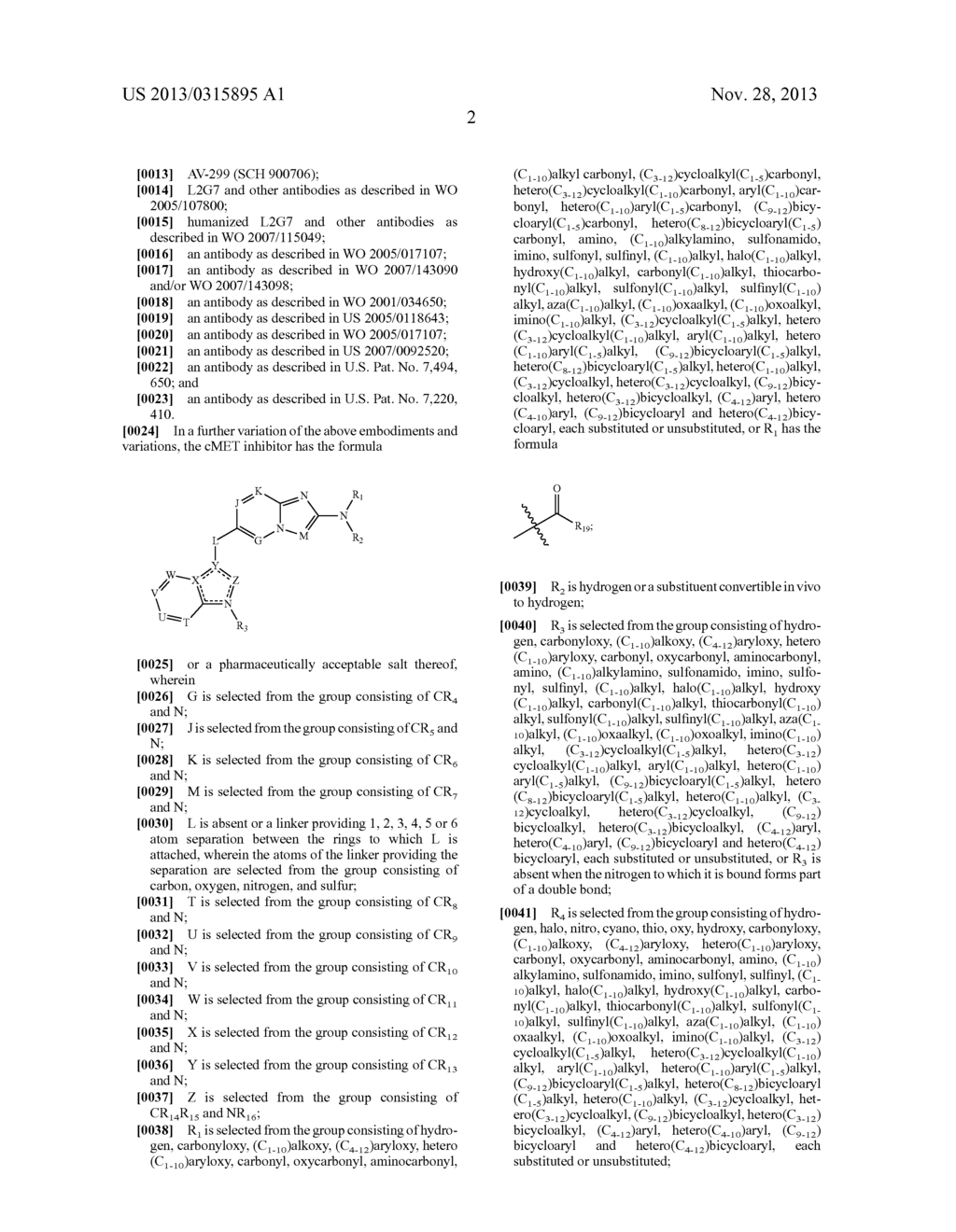 COMBINATION OF A cMET INHIBITOR AND AN ANTIBODY TO HGF AND/OR cMET - diagram, schematic, and image 06