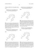 COMBINATION OF A cMET INHIBITOR AND AN ANTIBODY TO HGF AND/OR cMET diagram and image