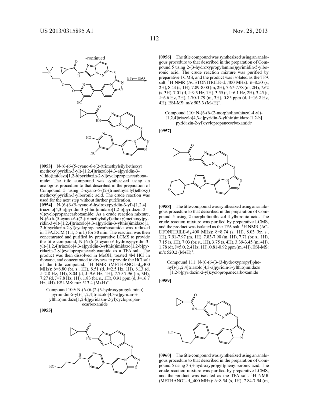 COMBINATION OF A cMET INHIBITOR AND AN ANTIBODY TO HGF AND/OR cMET - diagram, schematic, and image 116