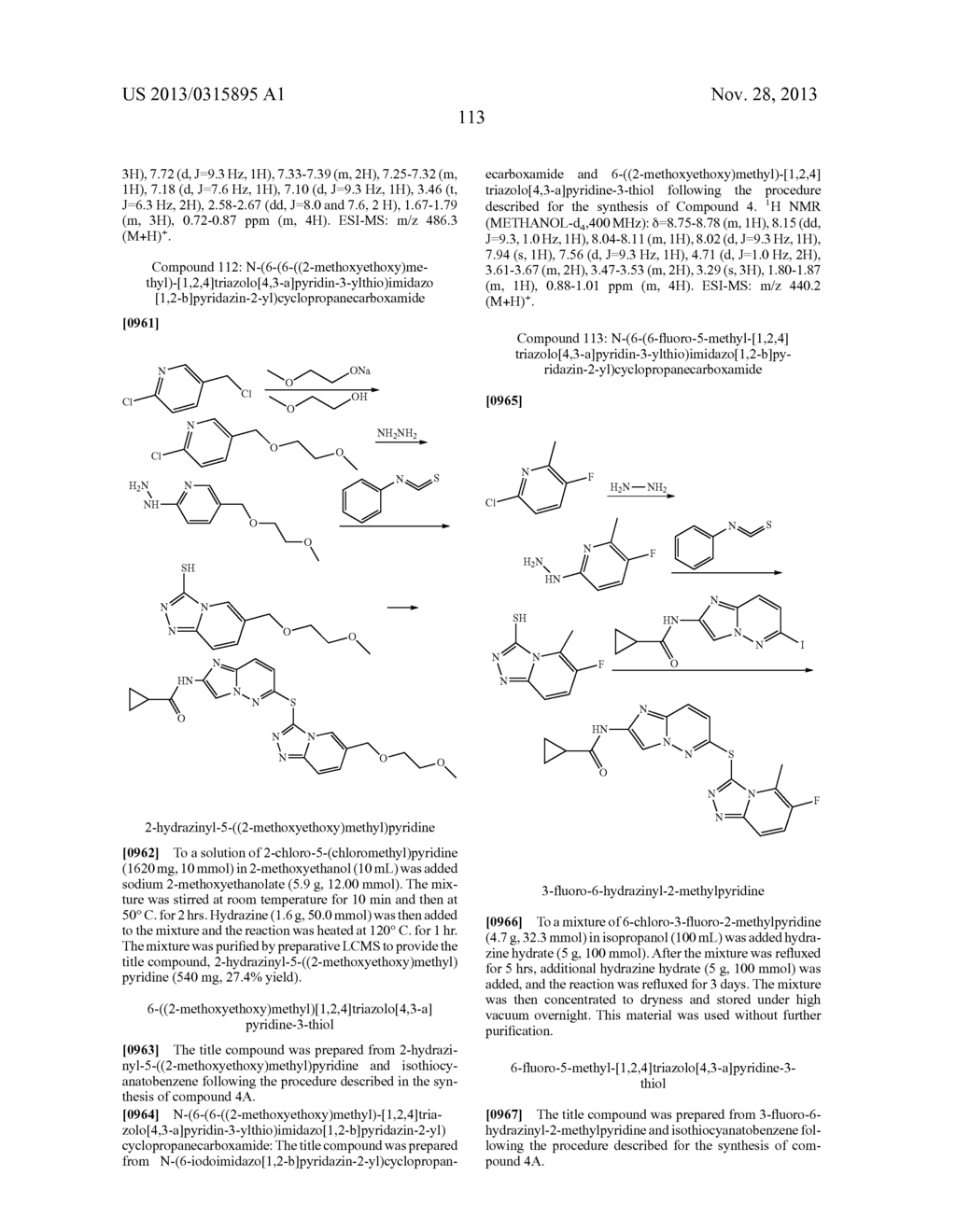 COMBINATION OF A cMET INHIBITOR AND AN ANTIBODY TO HGF AND/OR cMET - diagram, schematic, and image 117