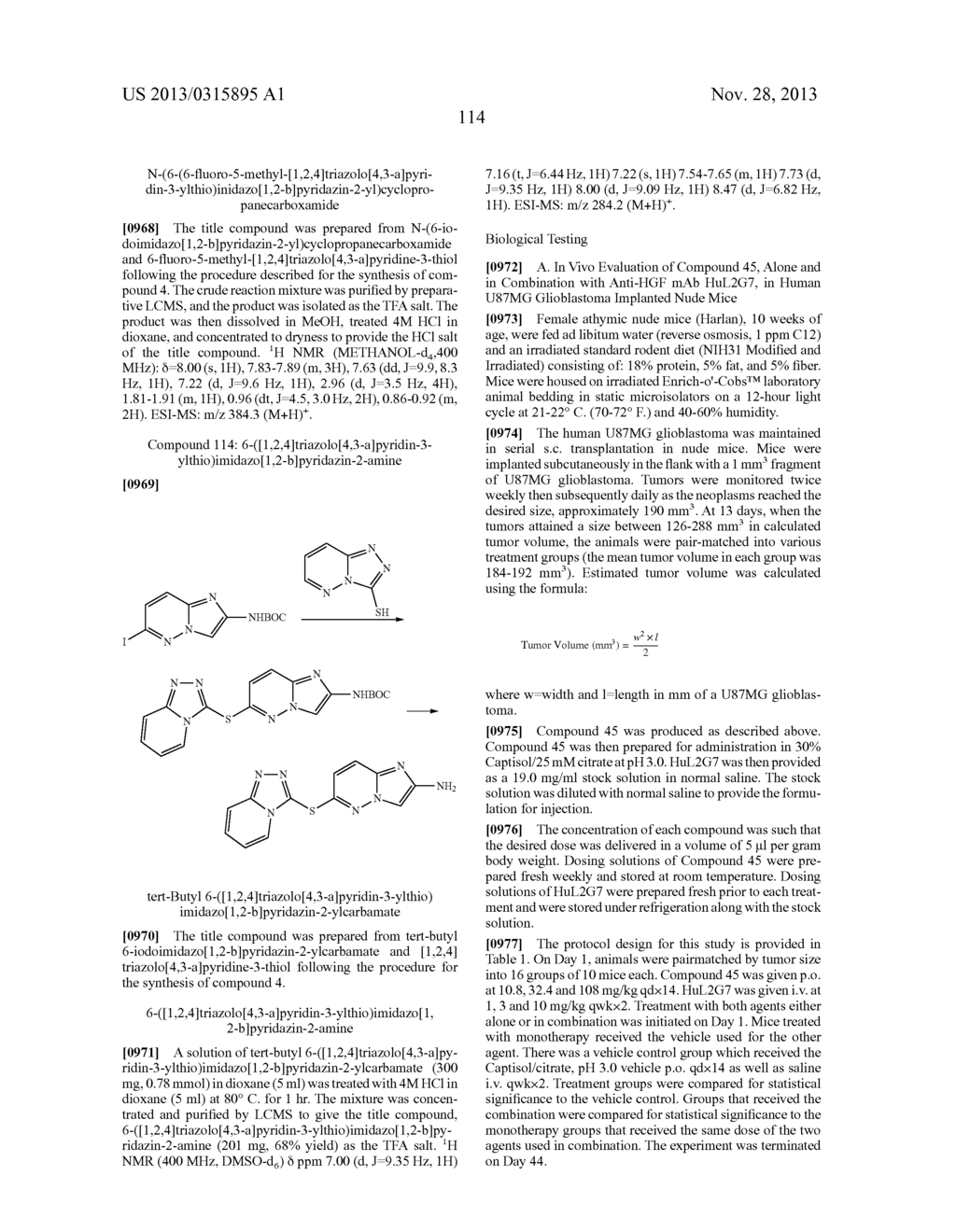 COMBINATION OF A cMET INHIBITOR AND AN ANTIBODY TO HGF AND/OR cMET - diagram, schematic, and image 118