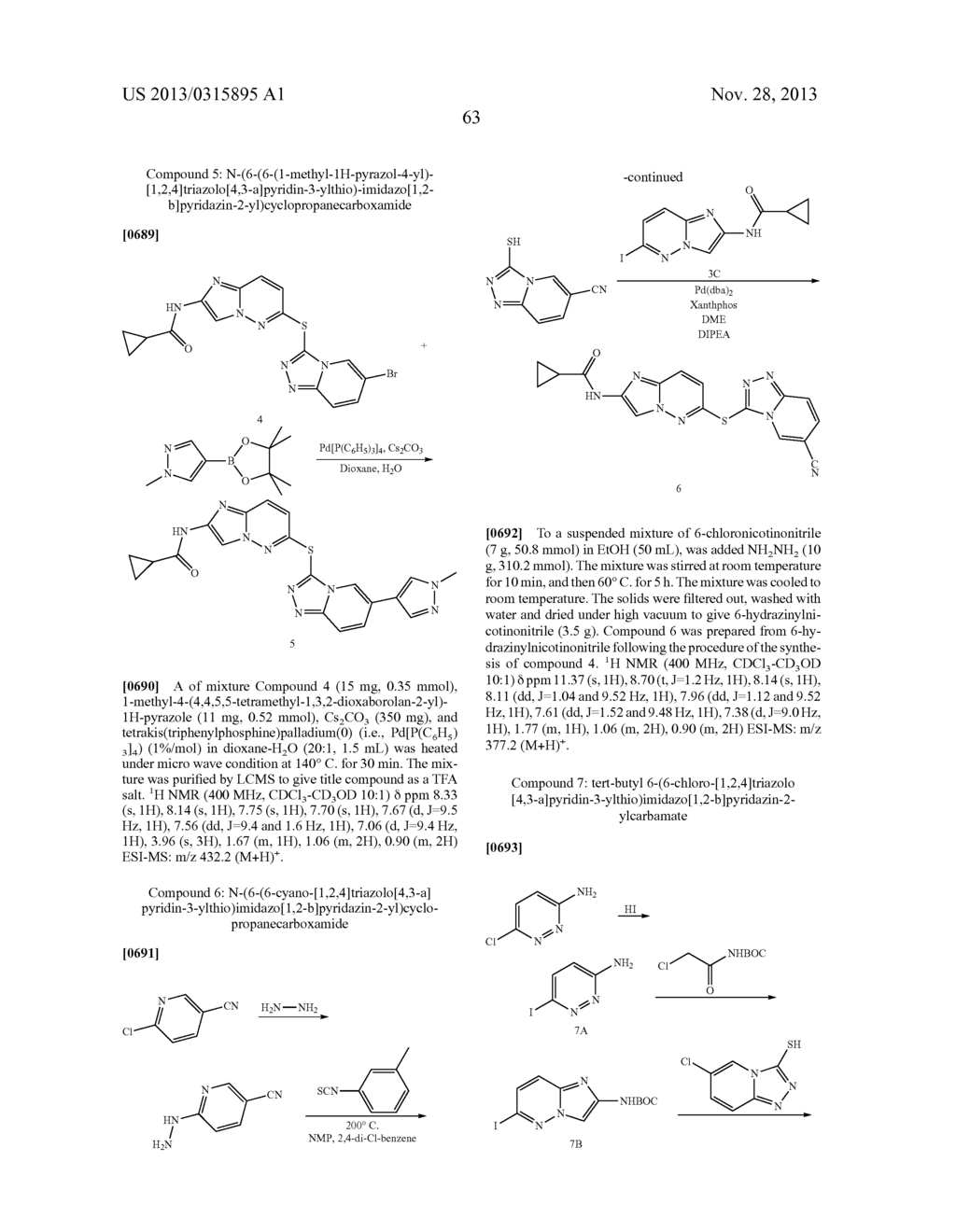 COMBINATION OF A cMET INHIBITOR AND AN ANTIBODY TO HGF AND/OR cMET - diagram, schematic, and image 67