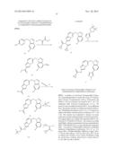 COMBINATION OF A cMET INHIBITOR AND AN ANTIBODY TO HGF AND/OR cMET diagram and image