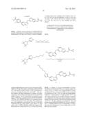 COMBINATION OF A cMET INHIBITOR AND AN ANTIBODY TO HGF AND/OR cMET diagram and image