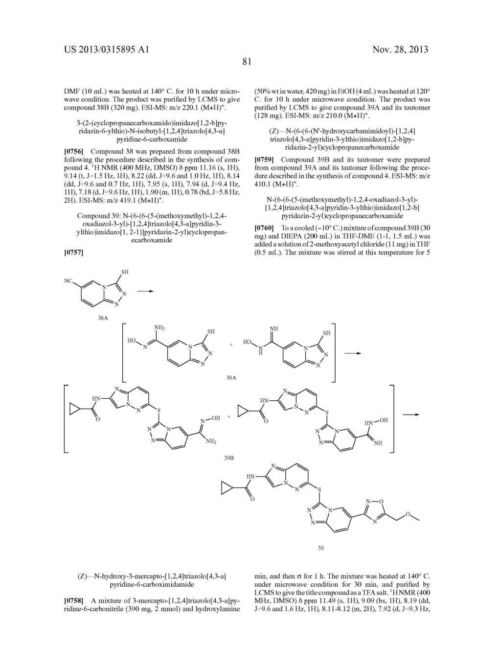 COMBINATION OF A cMET INHIBITOR AND AN ANTIBODY TO HGF AND/OR cMET - diagram, schematic, and image 85