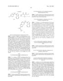 COMBINATION OF A cMET INHIBITOR AND AN ANTIBODY TO HGF AND/OR cMET diagram and image