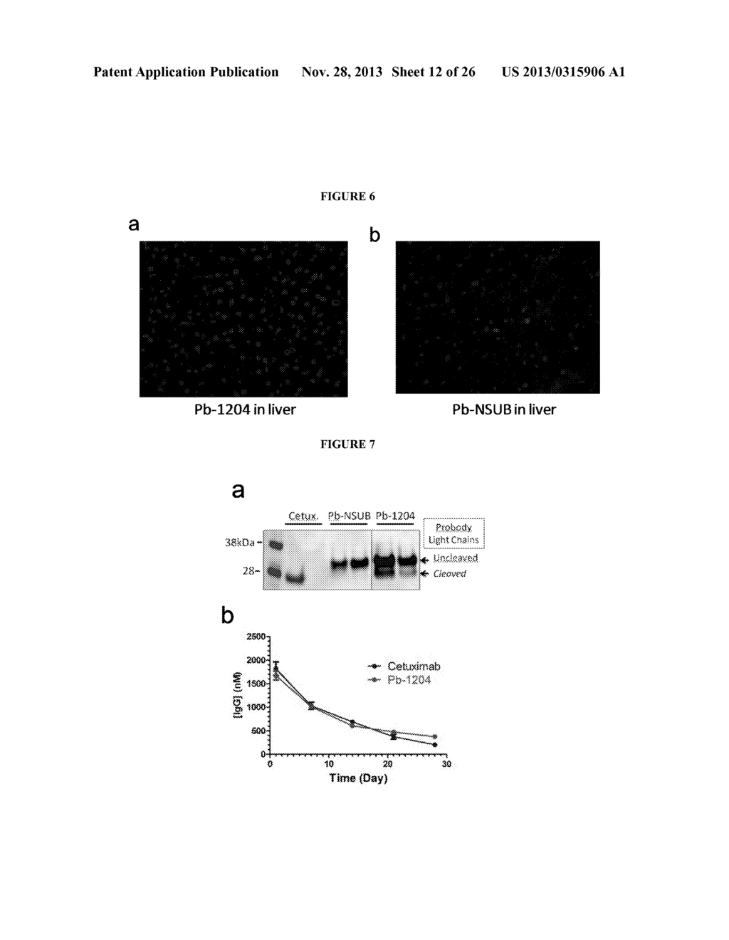 Activatable Antibodies That Bind Epidermal Growth Factor Receptor And     Methods Of Use Thereof - diagram, schematic, and image 13