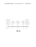 RESPIRATORY SYNCYTIAL VIRUS VACCINE diagram and image