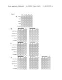 VACCINE ANTIGENS THAT DIRECT IMMUNITY TO CONSERVED EPITOPES diagram and image