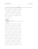 VACCINE ANTIGENS THAT DIRECT IMMUNITY TO CONSERVED EPITOPES diagram and image