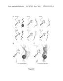 Methods and Compositions for Assessing and Treating Cancer diagram and image