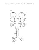 OLIGOMERIC RECEPTOR LIGAND PAIR MEMBER COMPLEXES diagram and image