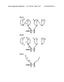 OLIGOMERIC RECEPTOR LIGAND PAIR MEMBER COMPLEXES diagram and image