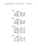 OLIGOMERIC RECEPTOR LIGAND PAIR MEMBER COMPLEXES diagram and image