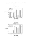 Use of Cytokines and Mitogens to Inhibit Pathological Immune Responses diagram and image