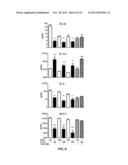 GENERATION OF NOVEL BONE FORMING CELLS (MONOOSTEOPHILS) FROM LL-37 TREATED     MONOCYTES diagram and image