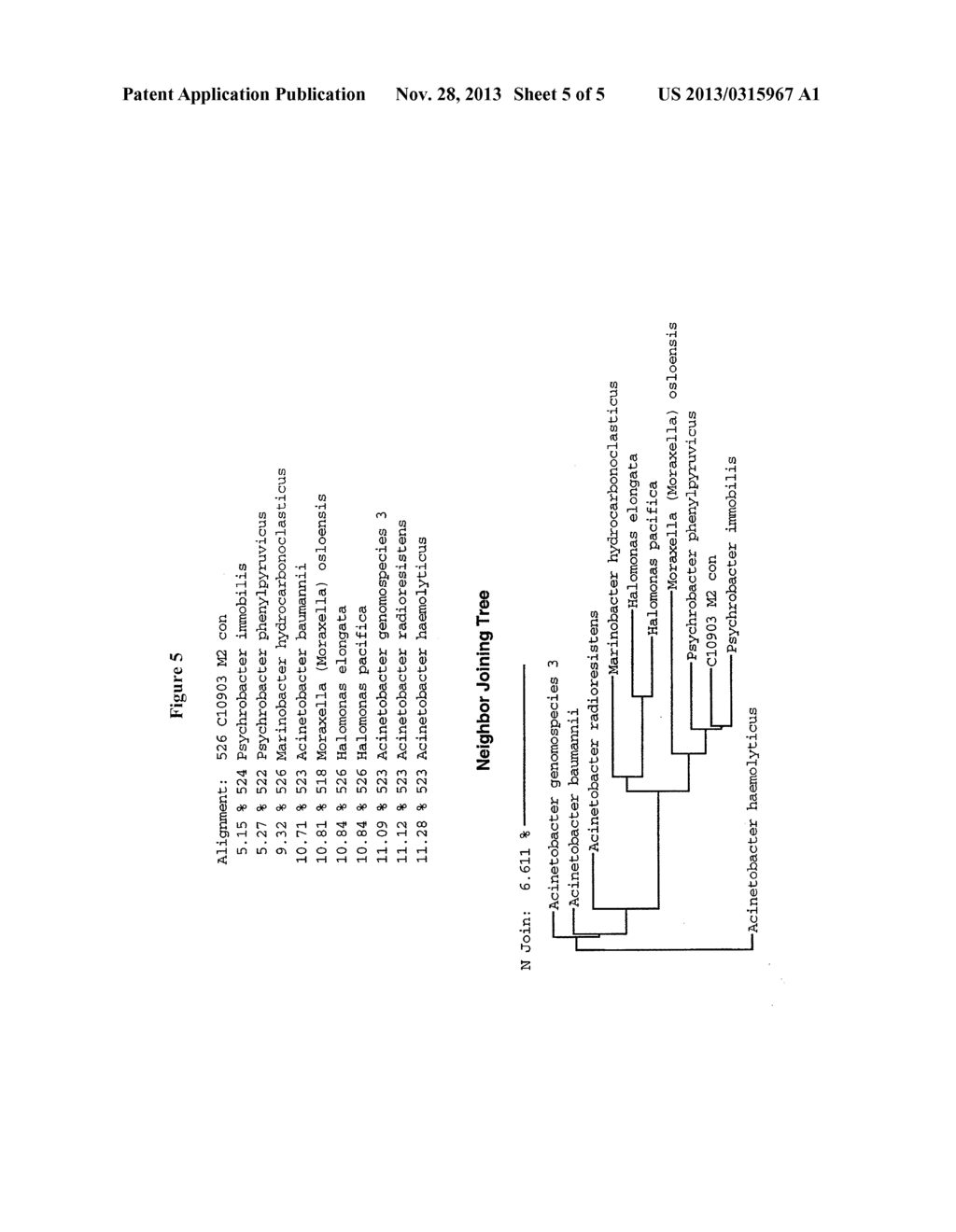 ANTAGONISTIC PROPERTIES OF REEF FISH MICROFLORA - diagram, schematic, and image 06