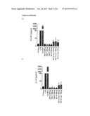 Glucan Gels diagram and image