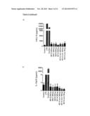 Glucan Gels diagram and image