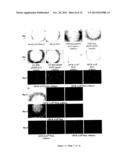 CYCLODEXTRIN-BASED MATERIALS, COMPOSITIONS AND USES RELATED THERETO diagram and image