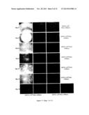 CYCLODEXTRIN-BASED MATERIALS, COMPOSITIONS AND USES RELATED THERETO diagram and image