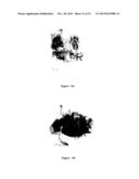 CYCLODEXTRIN-BASED MATERIALS, COMPOSITIONS AND USES RELATED THERETO diagram and image