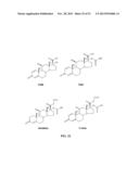 PARTICLES, COMPOSITIONS AND METHODS FOR OPHTHALMIC AND/OR OTHER     APPLICATIONS diagram and image