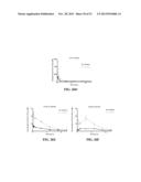 PARTICLES, COMPOSITIONS AND METHODS FOR OPHTHALMIC AND/OR OTHER     APPLICATIONS diagram and image