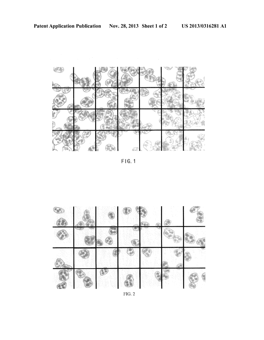 TONER AND METHOD FOR ITS PREPARATION - diagram, schematic, and image 02