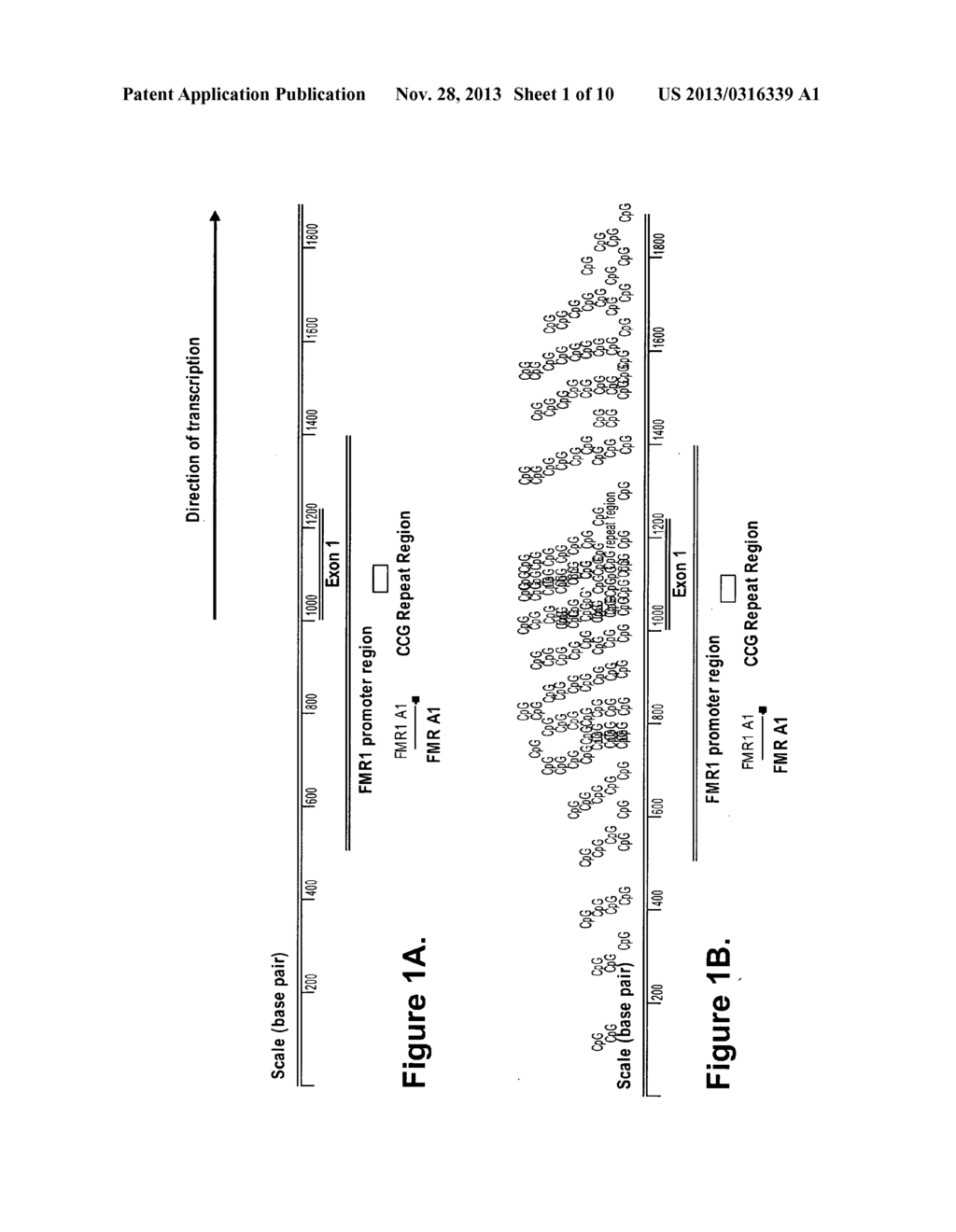 DETECTION OF NUCLEIC ACID SEQUENCES ADJACENT TO REPEATED SEQUENCES - diagram, schematic, and image 02