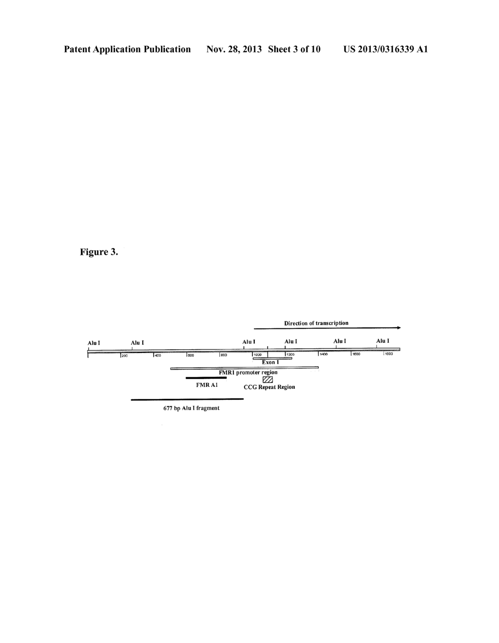 DETECTION OF NUCLEIC ACID SEQUENCES ADJACENT TO REPEATED SEQUENCES - diagram, schematic, and image 04