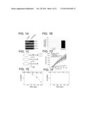 N-METHYLPURINE DNA GLYCOSYLASE AND POLYMERASE BETA AS BIOMARKERS FOR     ALKYLATOR CHEMOTHERAPY POTENTIATION diagram and image