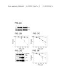 N-METHYLPURINE DNA GLYCOSYLASE AND POLYMERASE BETA AS BIOMARKERS FOR     ALKYLATOR CHEMOTHERAPY POTENTIATION diagram and image
