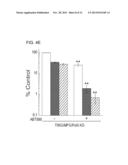 N-METHYLPURINE DNA GLYCOSYLASE AND POLYMERASE BETA AS BIOMARKERS FOR     ALKYLATOR CHEMOTHERAPY POTENTIATION diagram and image