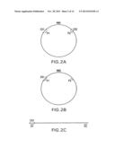 NUCLEIC ACID MOLECULES CONTAINING RECOMBINATION SITES AND METHODS OF USING     THE SAME diagram and image