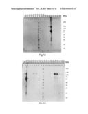 SPIDER SILK FUSION PROTEIN STRUCTURES FOR BINDING TO AN ORGANIC TARGET diagram and image