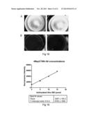 SPIDER SILK FUSION PROTEIN STRUCTURES FOR BINDING TO AN ORGANIC TARGET diagram and image