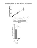 SPIDER SILK FUSION PROTEIN STRUCTURES FOR BINDING TO AN ORGANIC TARGET diagram and image