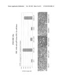 Methods and Assays for Measuring p95 and/or p95 Complexes in a Sample and     Antibodies Specific for p95 diagram and image