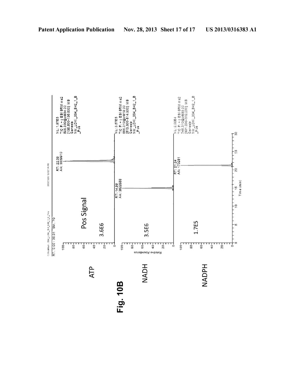 METHODS OF MONITORING METABOLIC PATHWAYS - diagram, schematic, and image 18