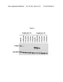 COVALENTLY LINKED INTERLEUKIN-10 diagram and image