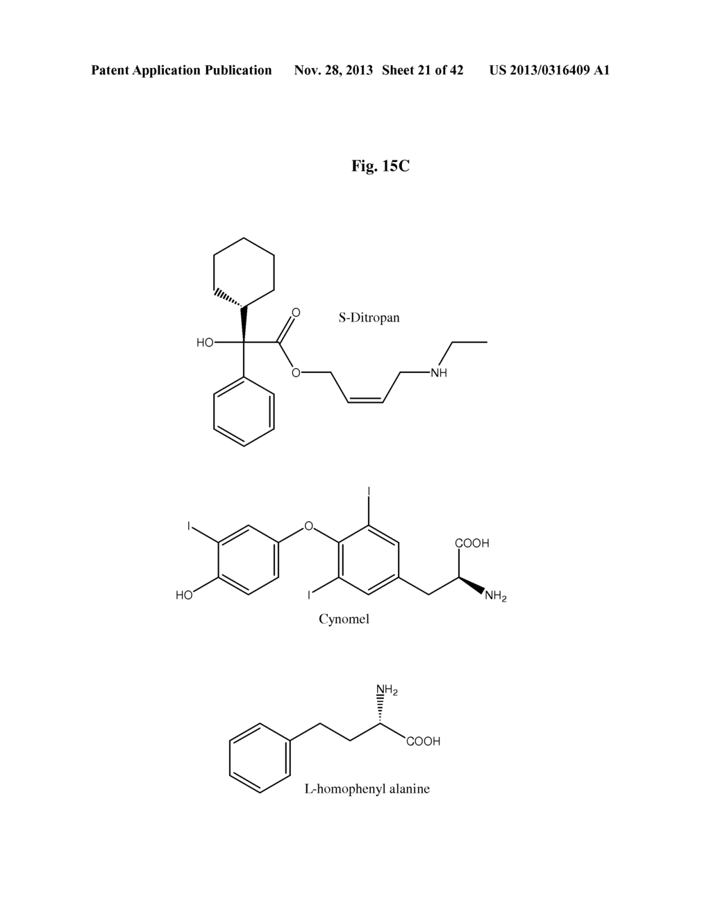 Nitrilases, Nucleic Acids Encoding Them and Methods for Making and Using     Them - diagram, schematic, and image 22