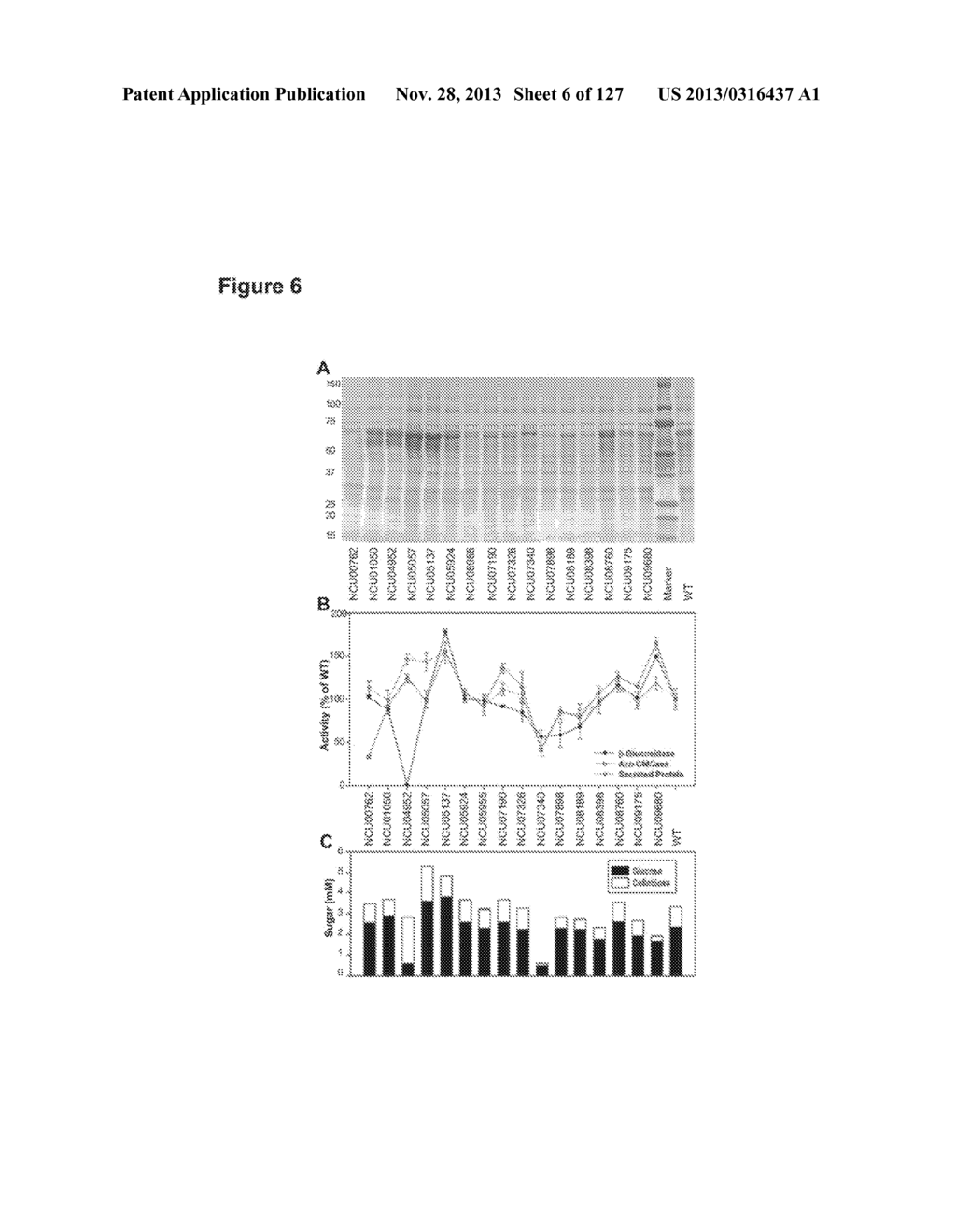 METHODS AND COMPOSITIONS FOR IMPROVING SUGAR TRANSPORT, MIXED SUGAR     FERMENTATION, AND PRODUCTION OF BIOFUELS - diagram, schematic, and image 07