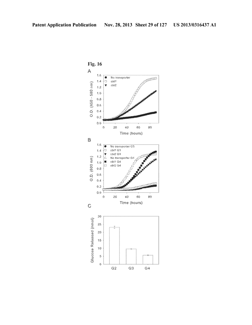 METHODS AND COMPOSITIONS FOR IMPROVING SUGAR TRANSPORT, MIXED SUGAR     FERMENTATION, AND PRODUCTION OF BIOFUELS - diagram, schematic, and image 30