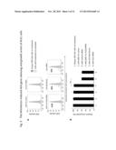 SUPERCOILED MINICIRCLE DNA FOR GENE THERAPY APPLICATIONS diagram and image