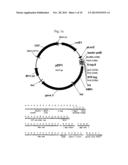 BIOMARKERS FOR THE DIAGNOSIS OF MULTIPLE SCLEROSIS diagram and image